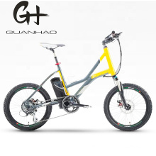 20" Cheaper Mini Kid Boys Small 250W PAS E-Bicycle